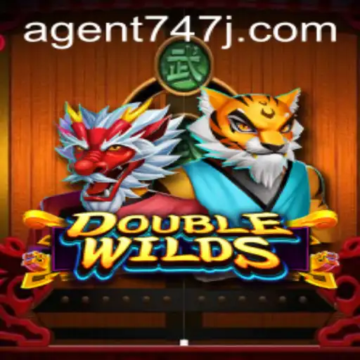 Unveiling DoubleWilds: Agent 747's Thrilling Game of Chance